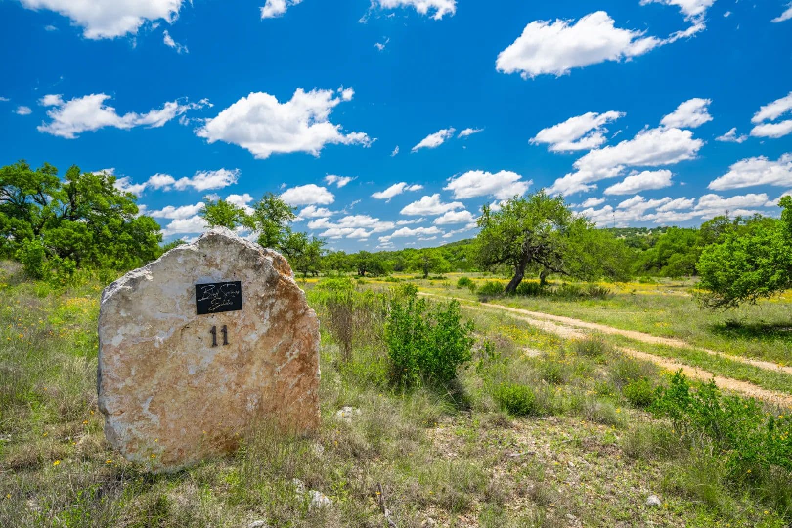 Hidden Spring Grove at Bluff Springs Estates - Driftwood, Texas, 78619