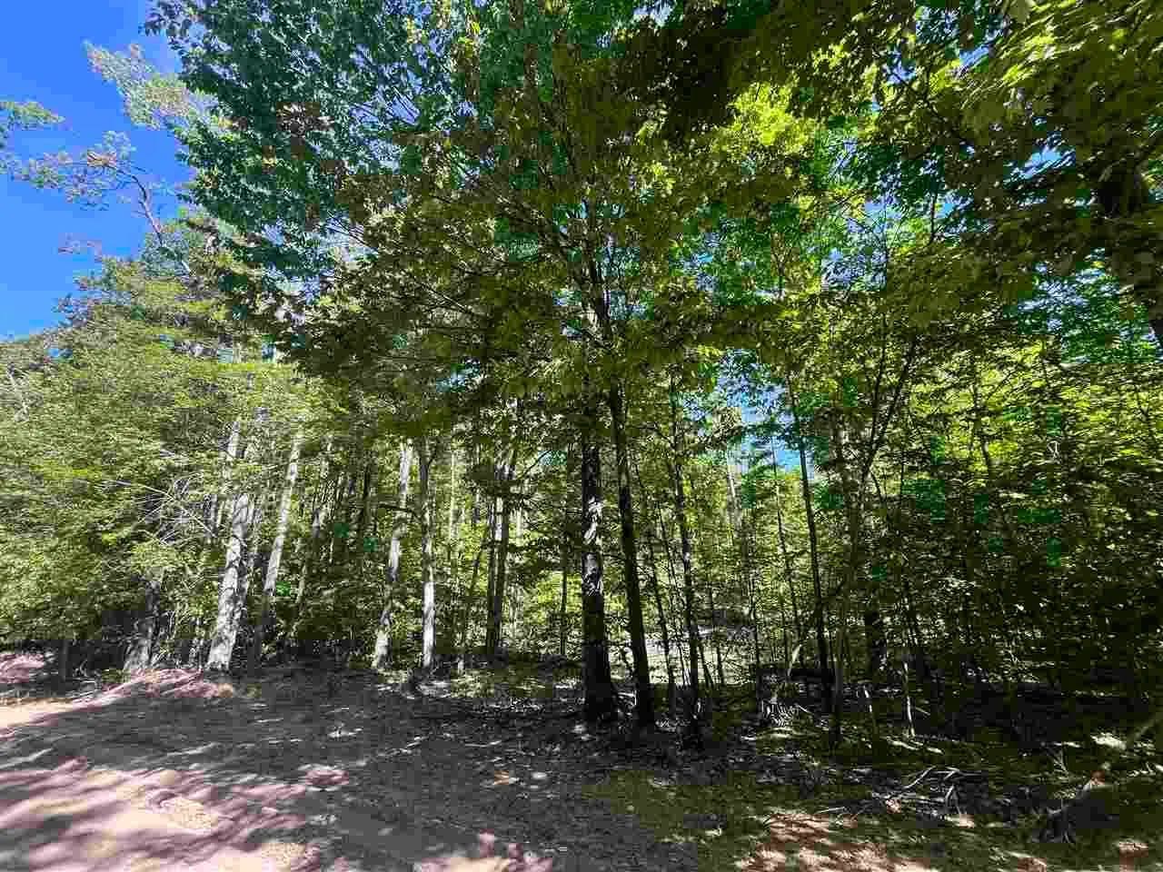 20 Acres of Land for Sale in Boyne Falls, MI - Boyne Falls, Michigan, 49713