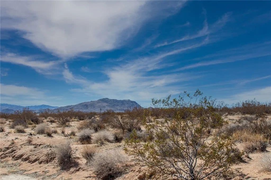 2.5 Acres of Land for Sale in Joshua Tree, CA - Joshua Tree, California, 92252
