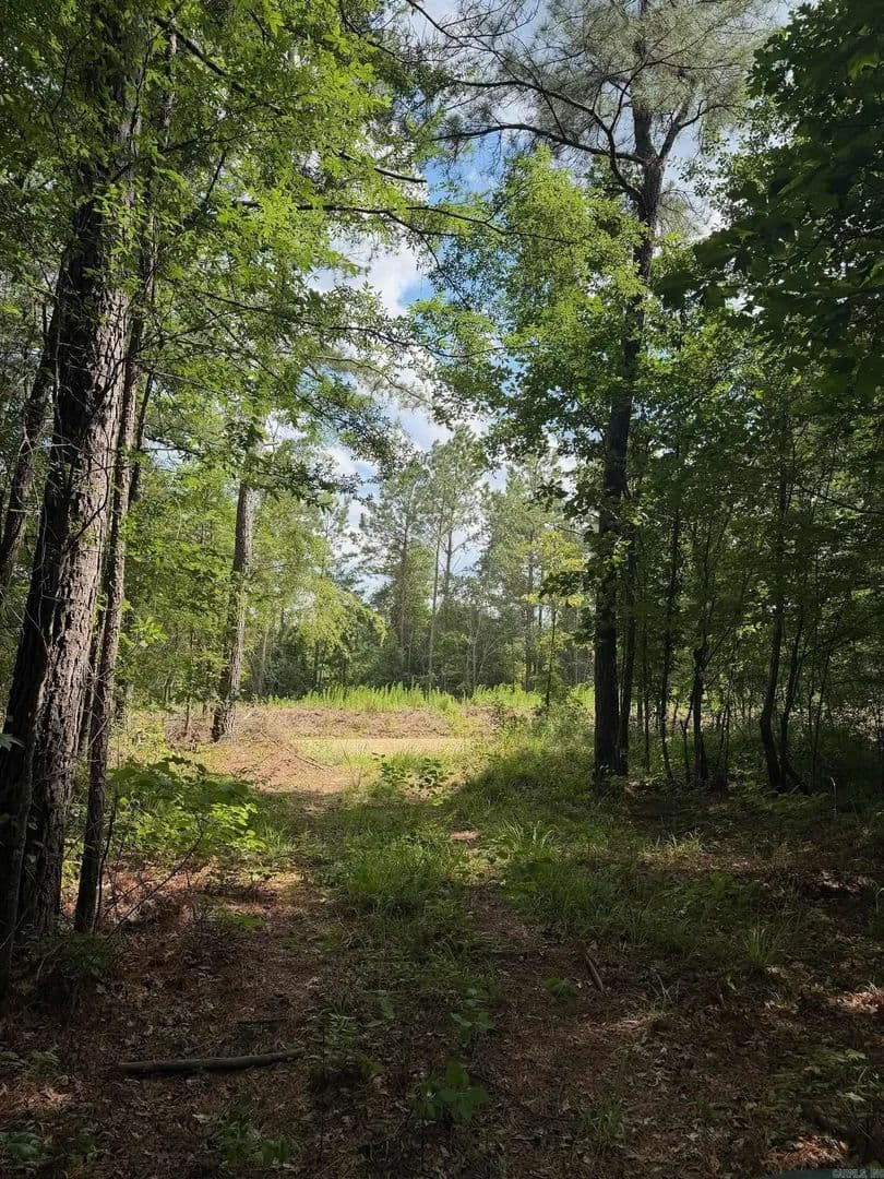 Property from 00 Alphin Road - KW - El Dorado, Arkansas, 71730