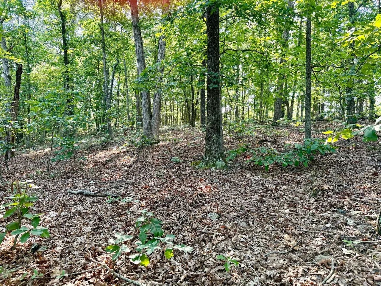 85± Acres of Pure Sportsman's Paradise | Madison County, MO - Ironton, Missouri, 63650