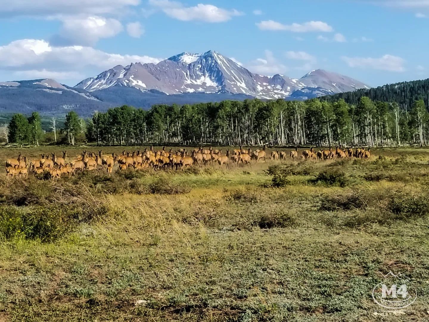 Telluride Mesa 700 - Placerville, Colorado, 81423
