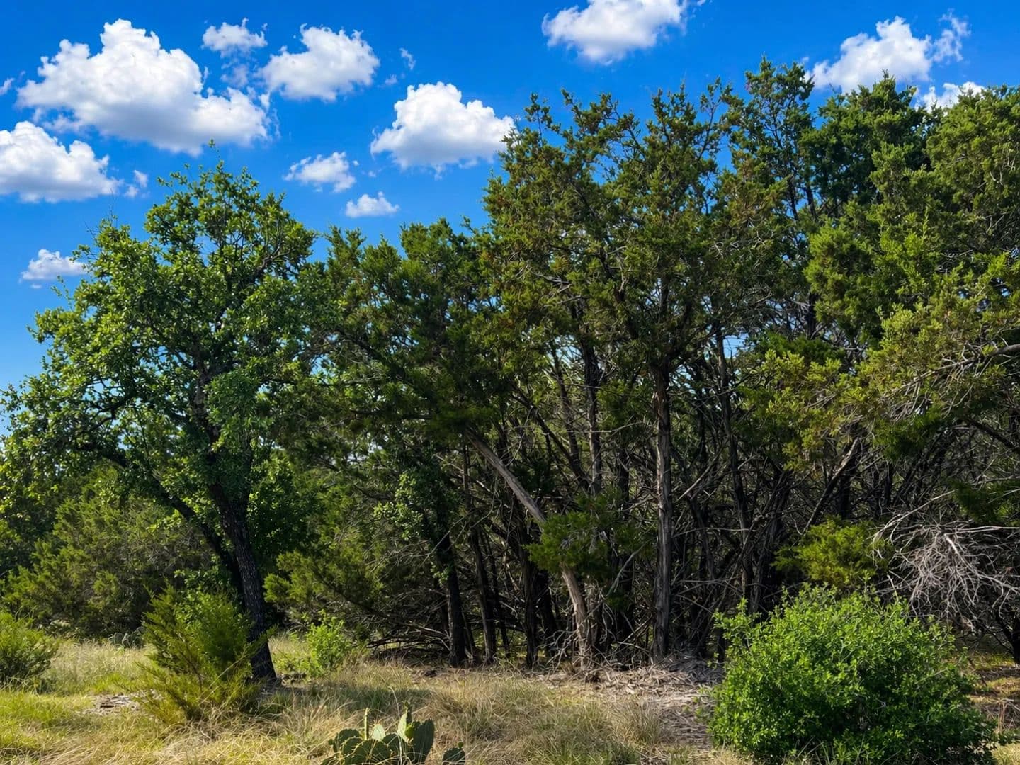 LOT 7 ARROWHEAD TRAIL - Killeen, Texas, 76549