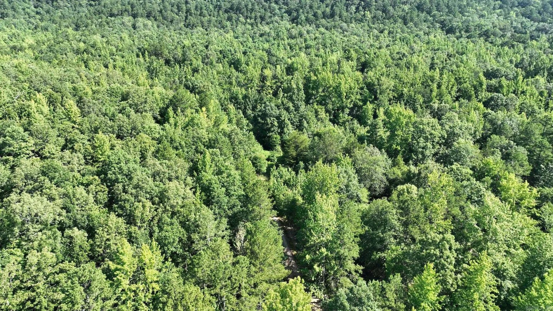 27 Acres of Land for Sale in Mena, AR - Mena, Arkansas, 71953