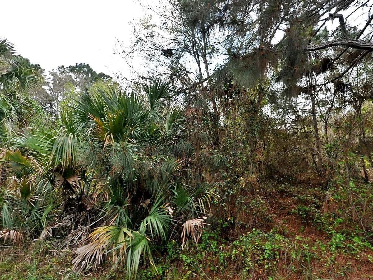 Property from HENNING STREET - KW - North Port, Florida, 34288