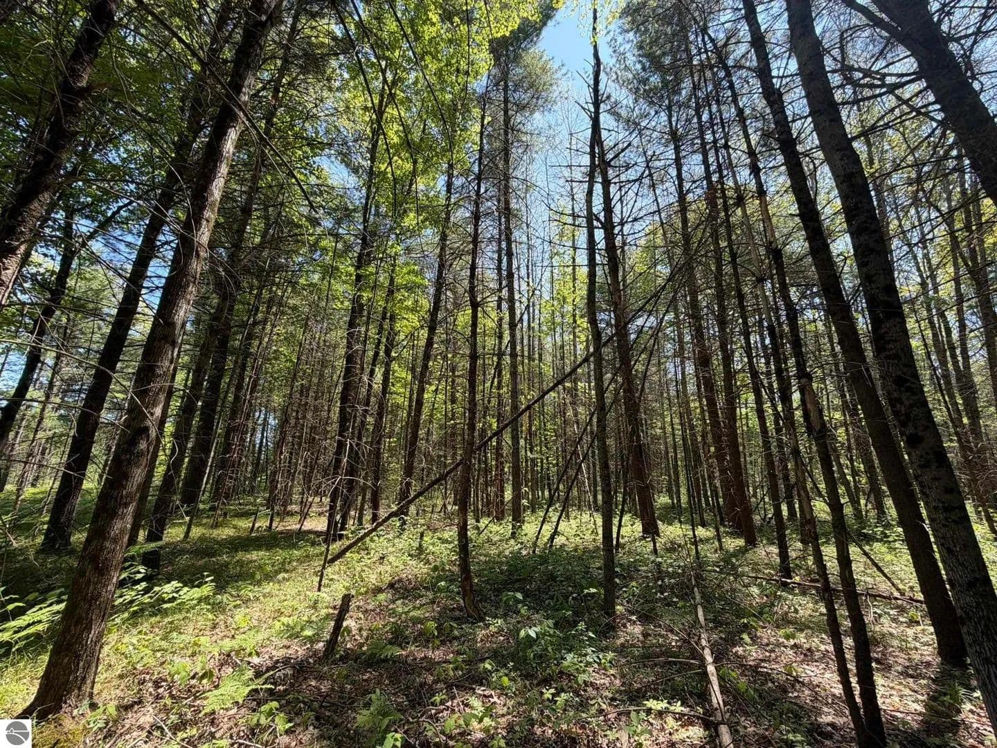 Property from V/L US-10 - KW - Baldwin, Michigan, 49642