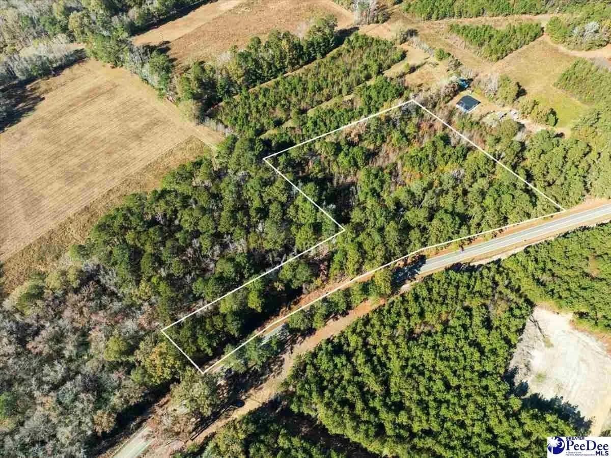 Lots & Land-Other in Marion - Marion, South Carolina, 29571