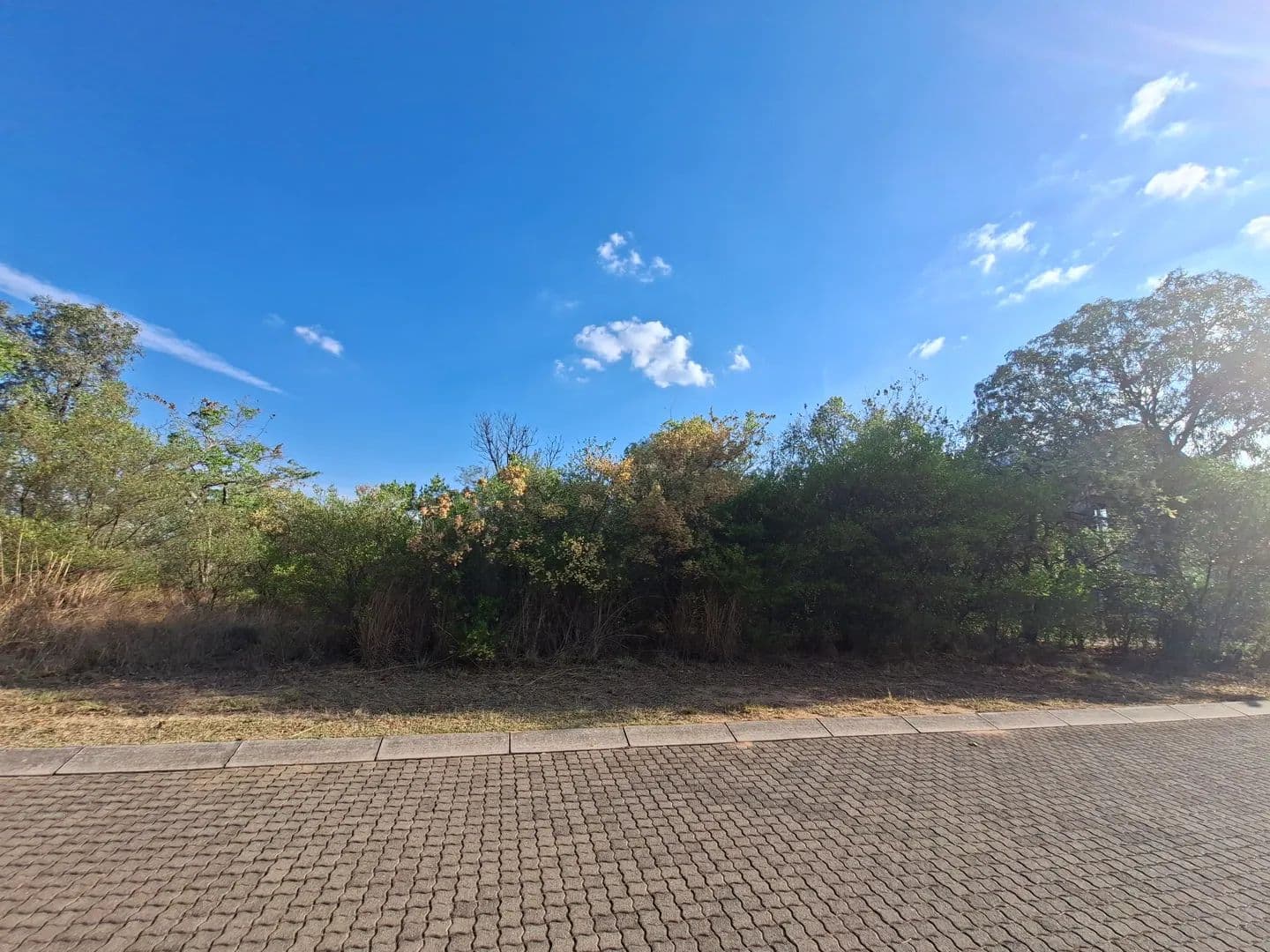 1500 Acres of Land for Sale in Modimolle, Limpopo - land for sale