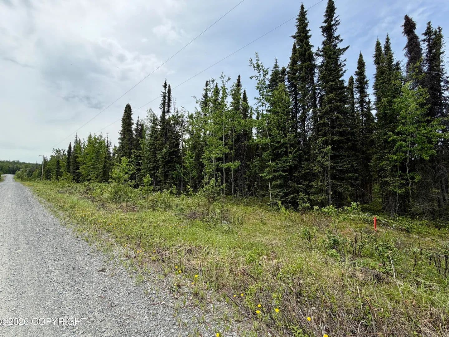 Vacant Land in Soldotna - Soldotna, Alaska, 99669