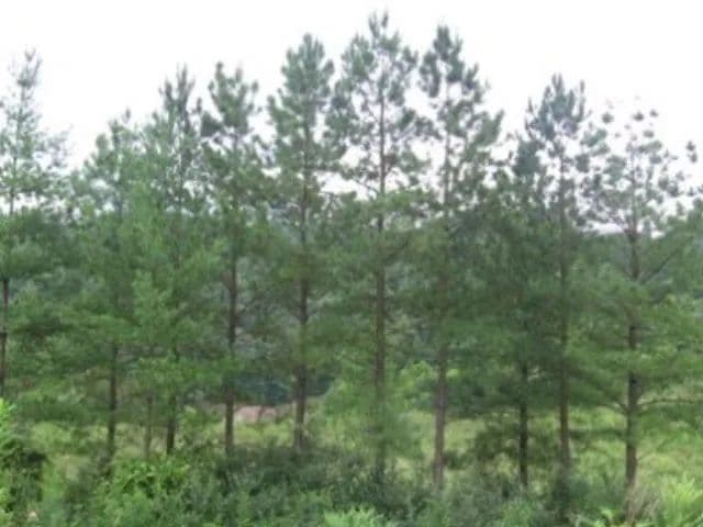 Lots & Land-Other in Pikeville - Pikeville, Kentucky, 41501