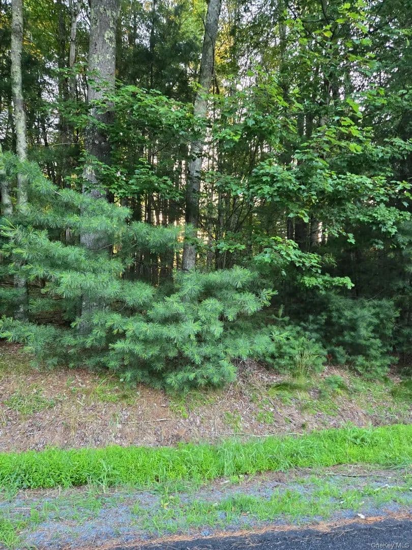 Land for Sale in Bethel, NY - land for sale