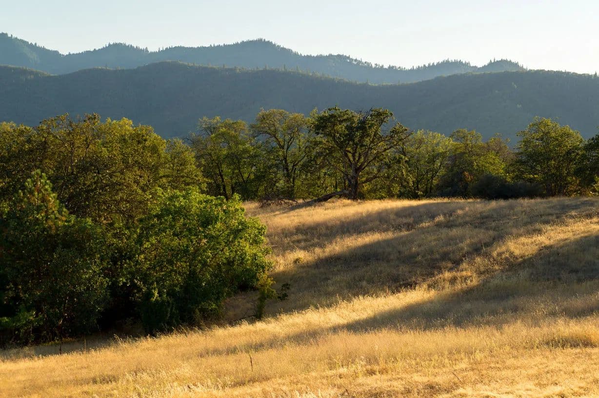 ROGUE VALLEY VIEW ACREAGE - land for sale