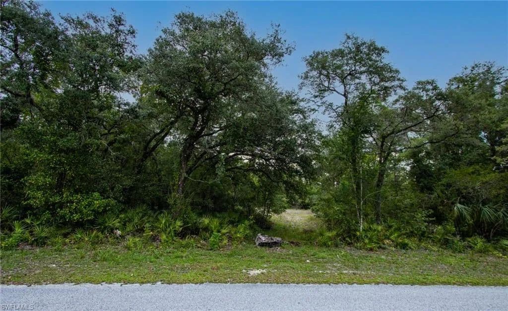0.48 Acres of Land for Sale in WEBSTER, FL - Webster, Florida, 33597