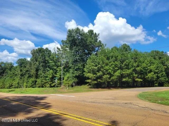 2.78 acres near McComb, Mississippi - land for sale