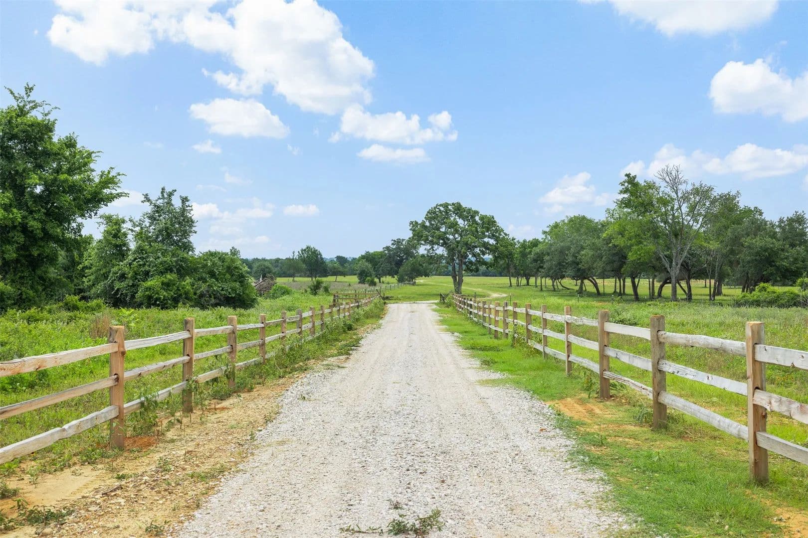 123.48 Acres of Land for Sale in Dime Box, TX - Dime Box, Texas, 77853