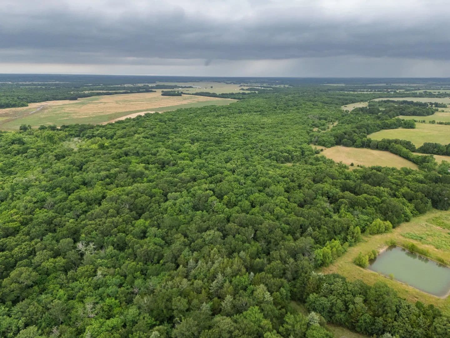 87.92 Acres of Land for Sale in Cooper, TX - Cooper, Texas, 75432