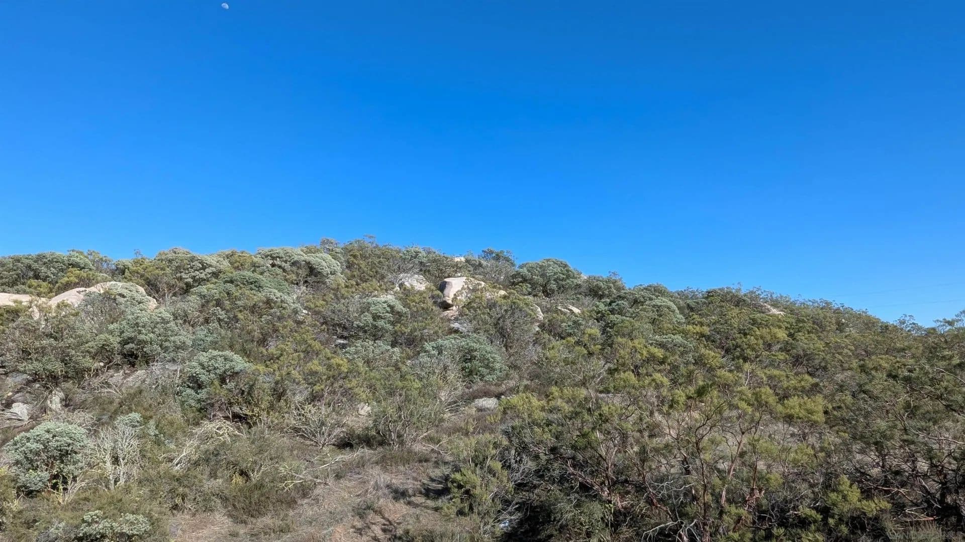 Land for Sale in Aguanga, CA - Aguanga, California, 92536