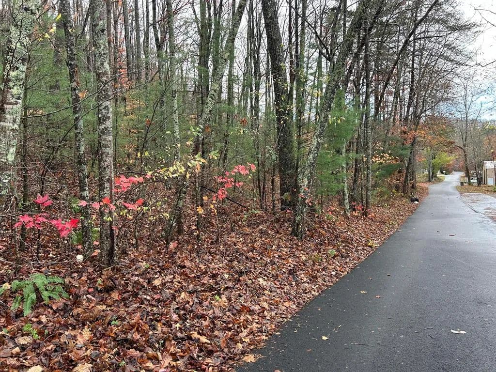 Property from Lt12&13 Butternut Grove Road - KW - Blairsville, Georgia, 30512