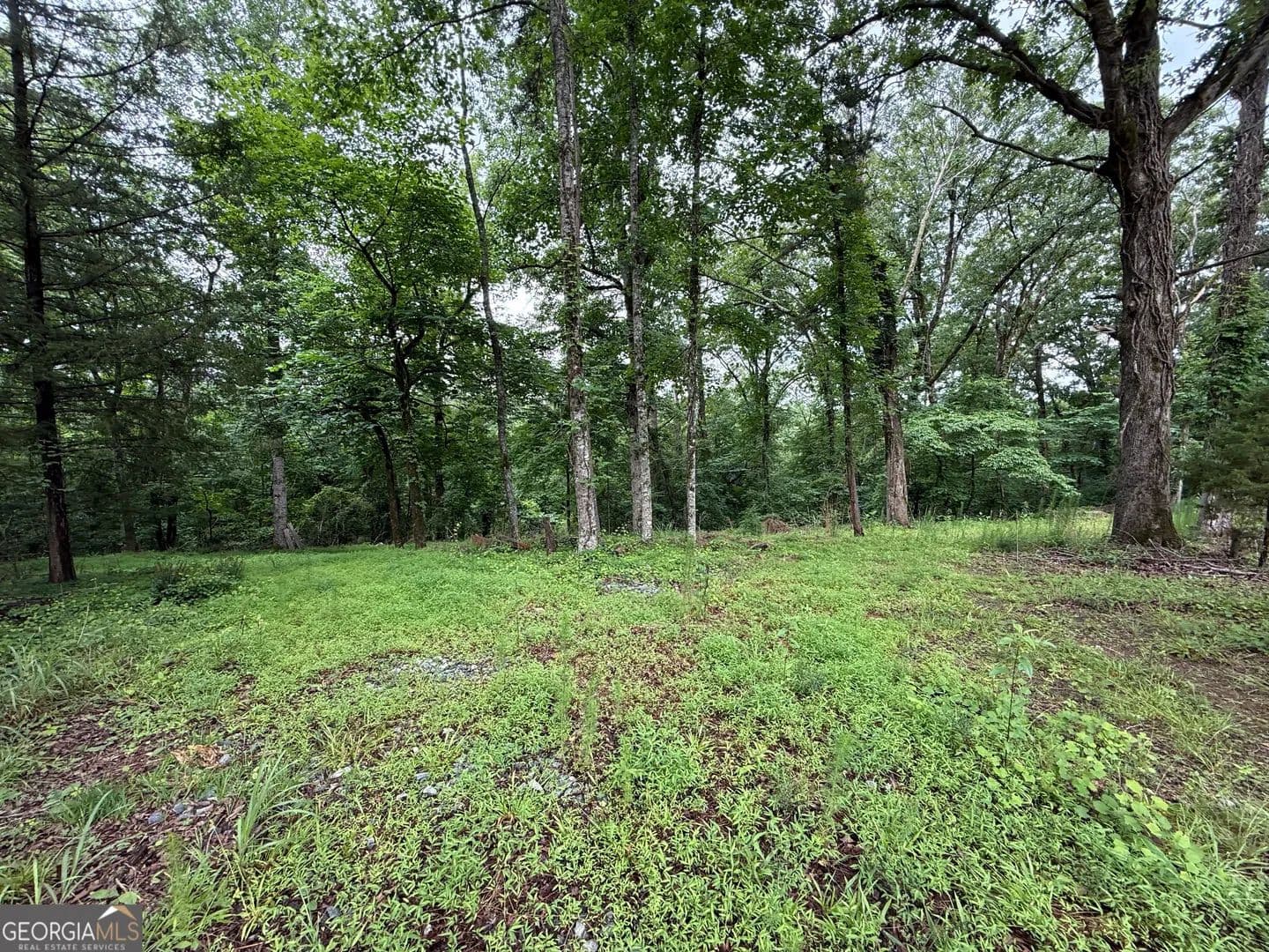 Property from LOT 35 Lakemont Trail - KW - Demorest, Georgia, 30535