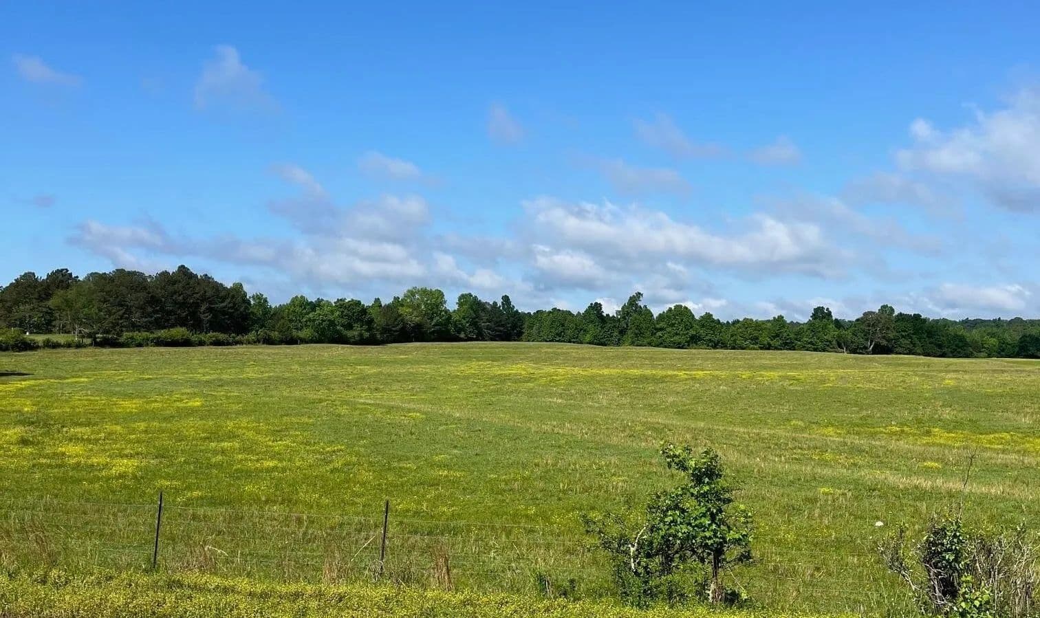 Jourden Creek Farms - Oneonta, Alabama, 35121