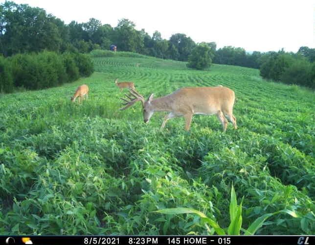 Property from 0 Mann Road - KW - , Kentucky, 41064