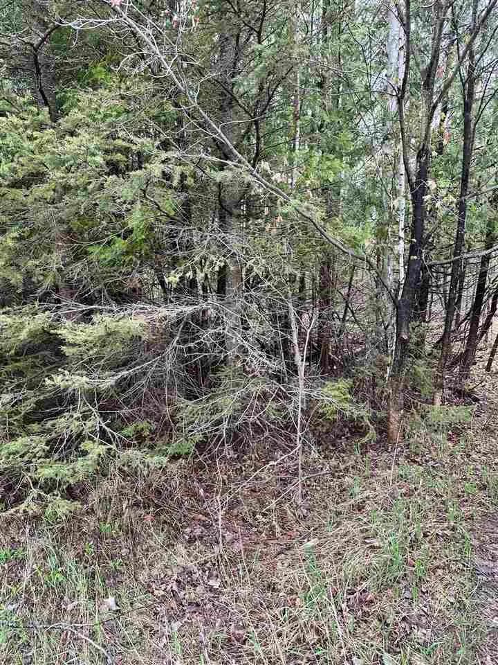 Property from US 31 N Highway - KW