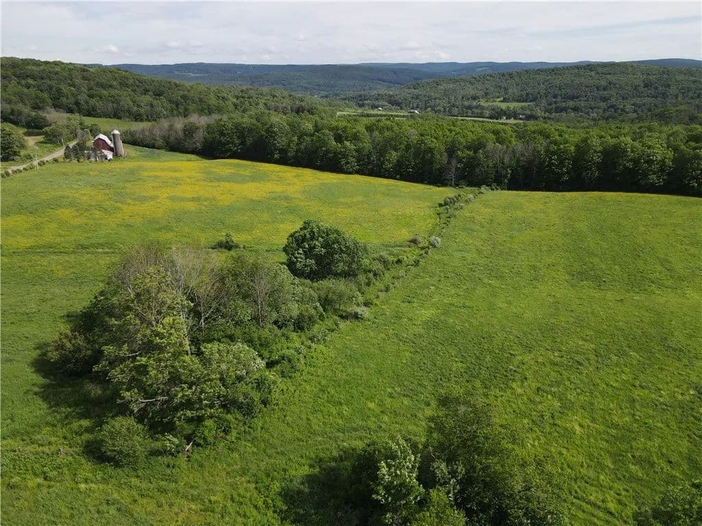 33 Acres of Land for Sale in Friendship, NY - Friendship, New York, 14739