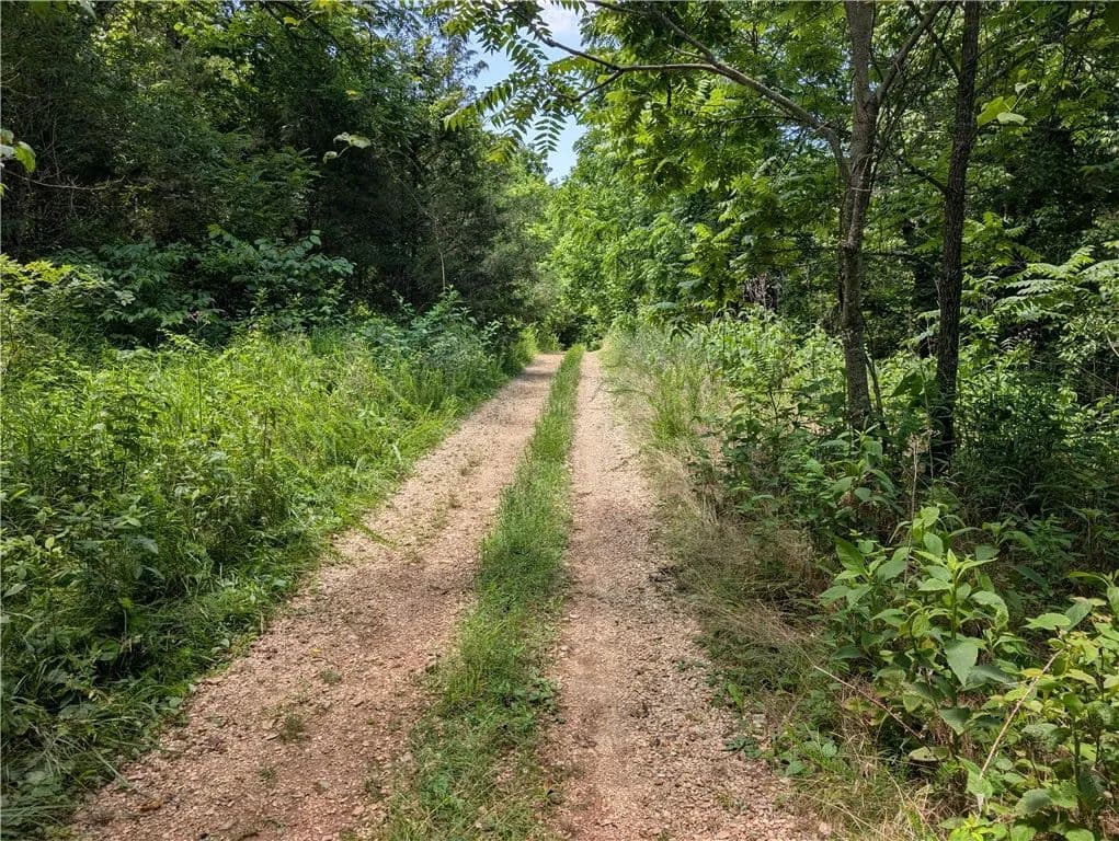 0.27 Acres of Land for Sale in Bella Vista, Arkansas - Bella Vista, Arkansas, 72714