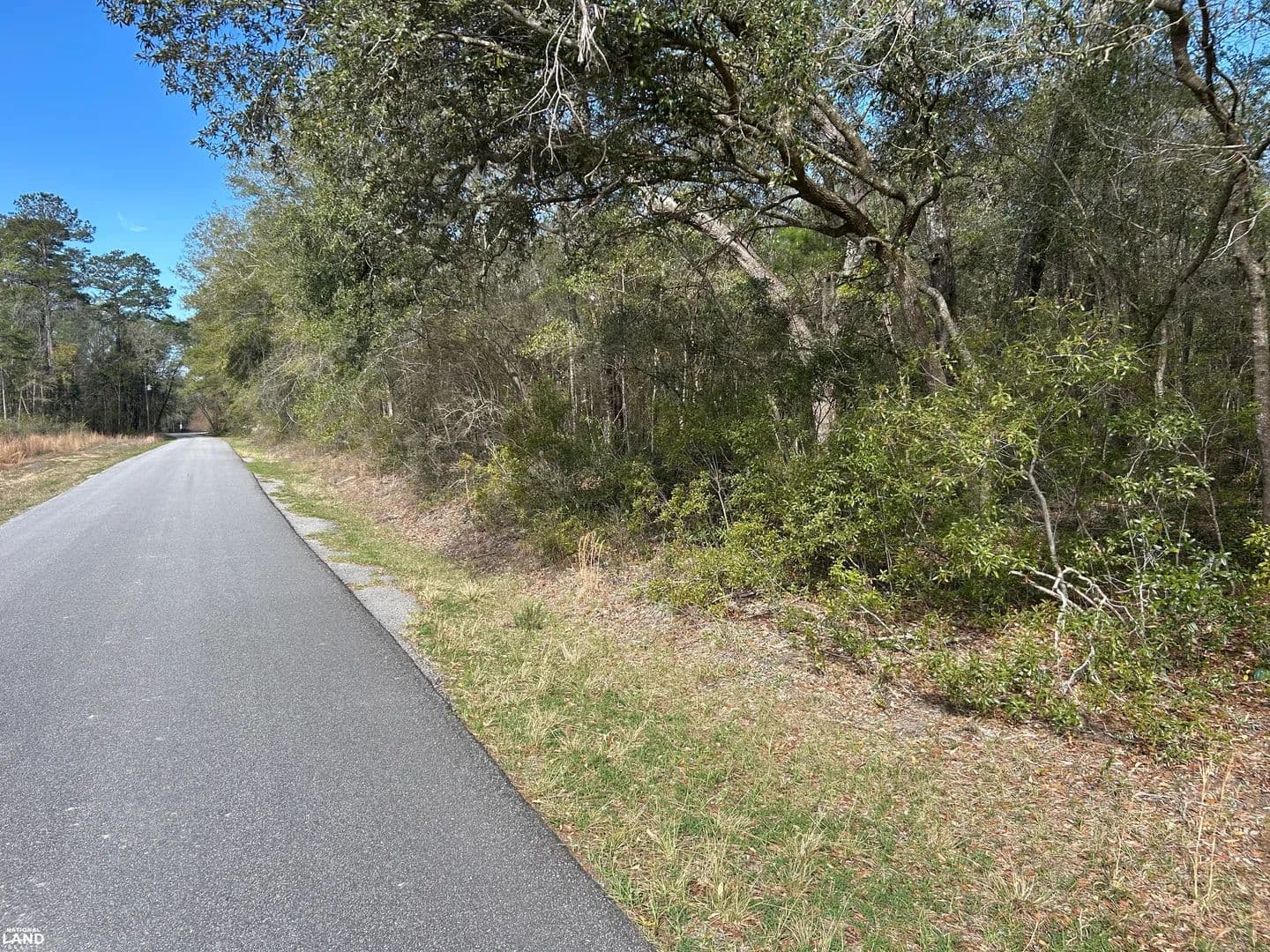 Lot 11 - Boat Landing Rd - Ridgeville, South Carolina, 29472
