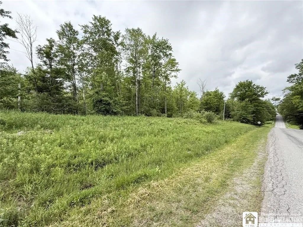 Lots & Land-Other in Bemus Point - Bemus Point, New York, 14712