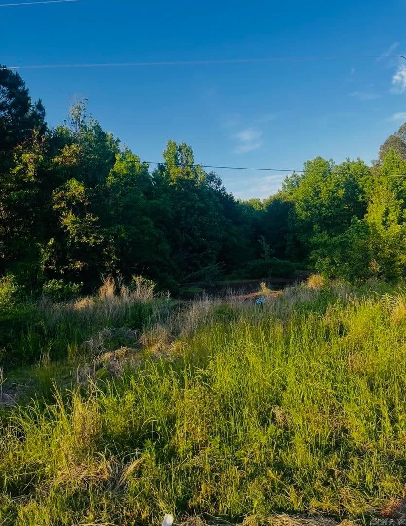 Property from Lot 4 Parkwood - KW - Monticello, Arkansas, 71655