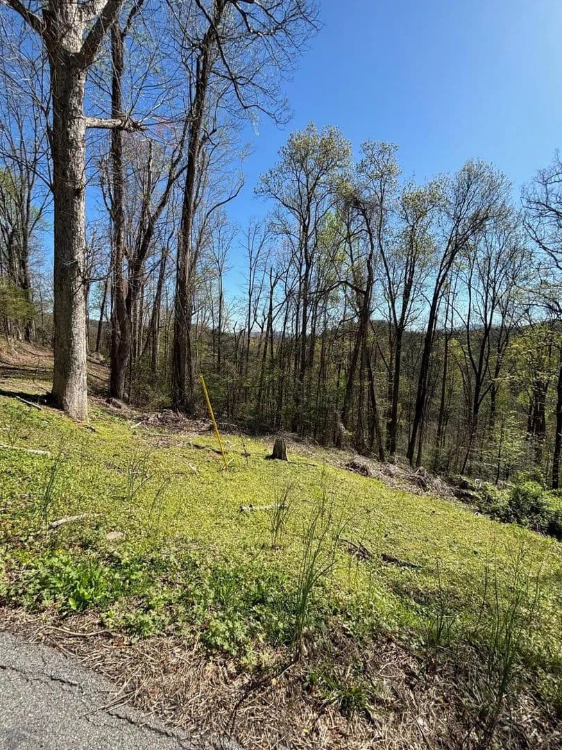 Property from 000 ESSLINGER & LOW GAP - KW - Gatlinburg, Tennessee, 37738