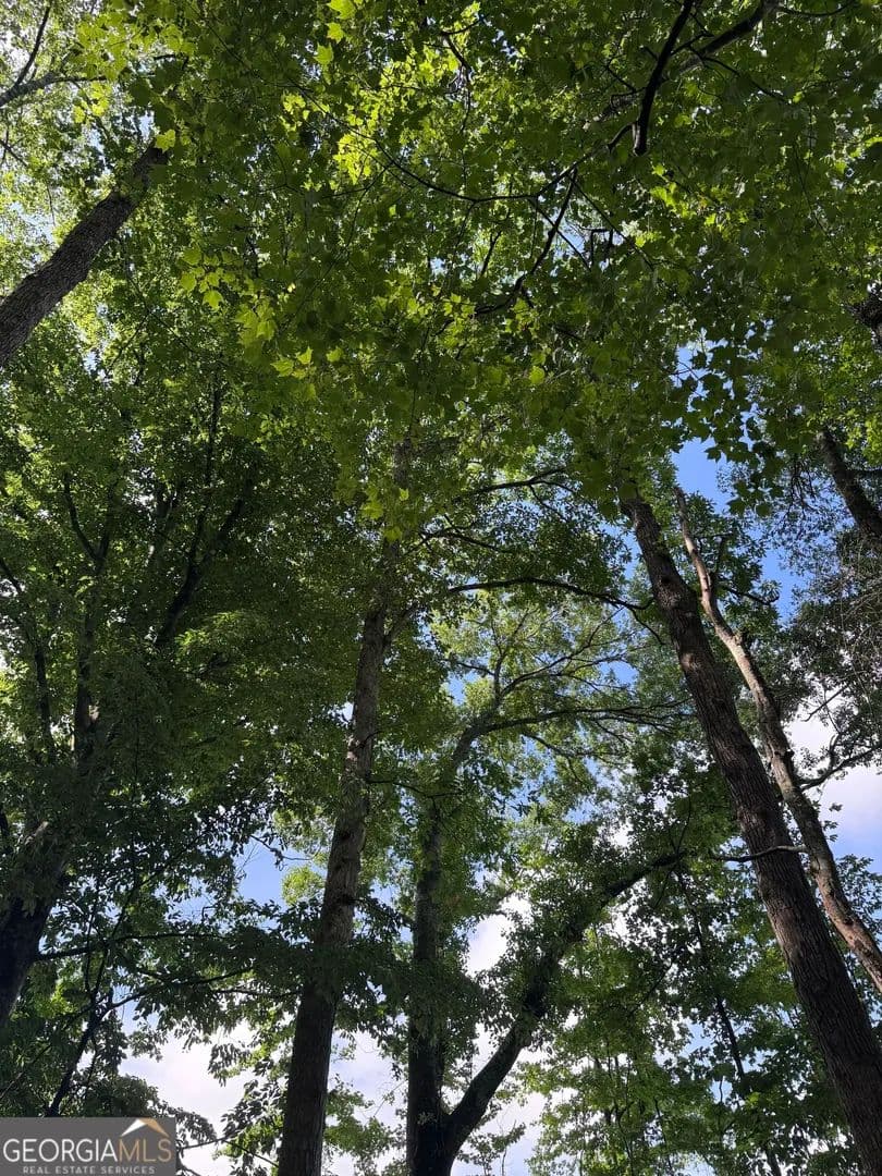 Property from 0 Po Biddy Road - KW - Thomaston, Georgia, 30286