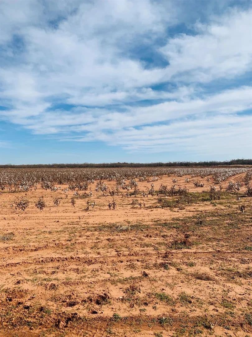 Property from 2600 FM 643 - KW