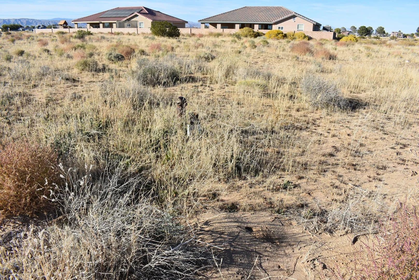 Lots & Land-Other in California City - California City, California, 93505
