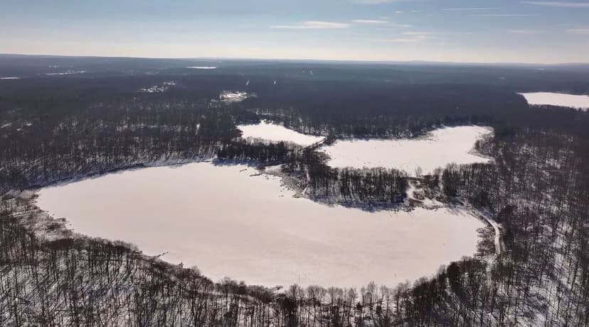 PEAT MOSS RD., LACKAWANNA COUNTY - 300 +/- ACRES