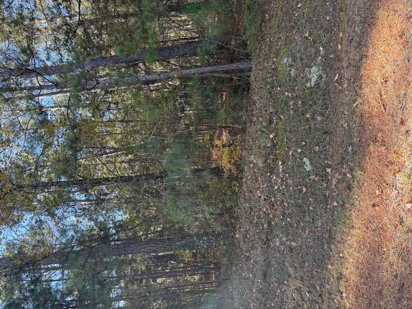Property from Lot 13 Two Wood Pl - KW - McCormick, South Carolina, 29835