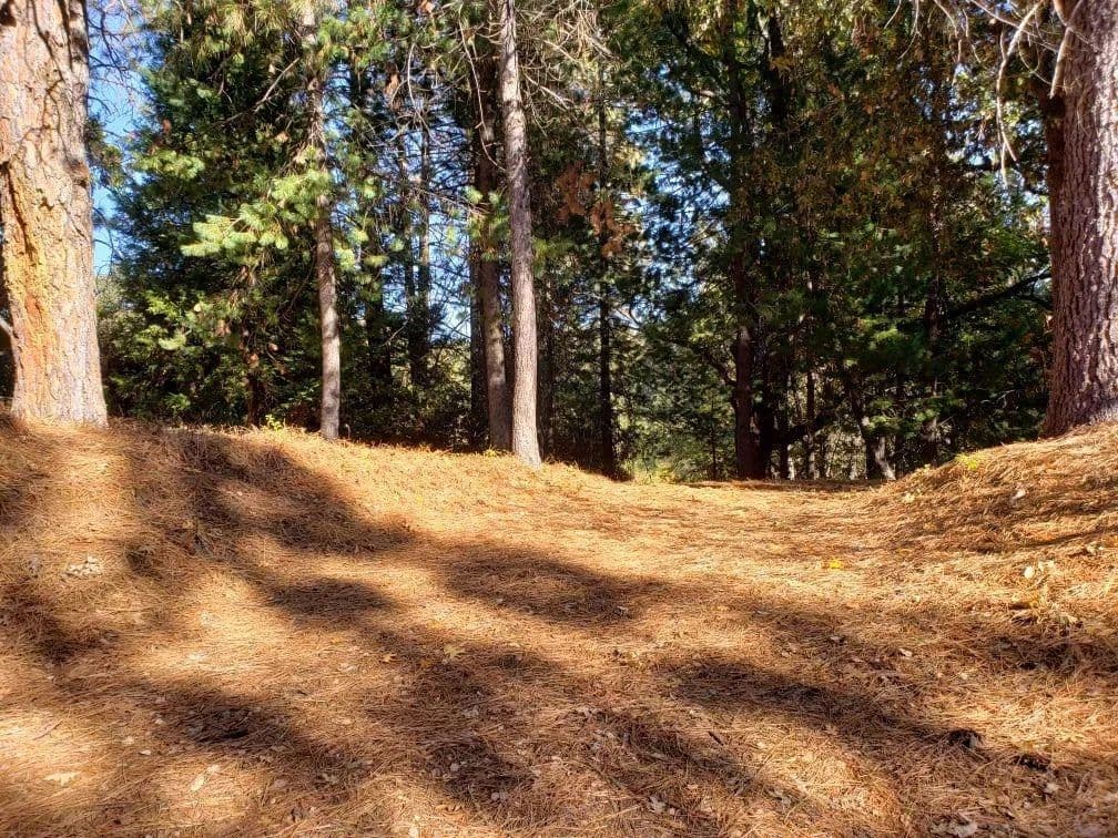 Property from 1812 Sandalwood Dr - KW - Murphys, California, 95247