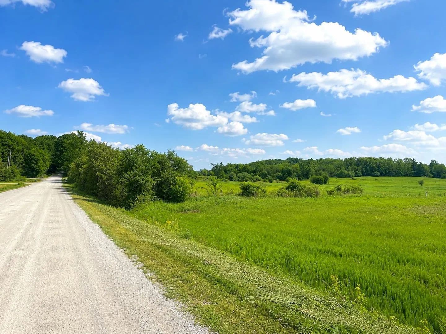 Property from 674 Cadieux Road - KW - Georgia, Vermont, 5478