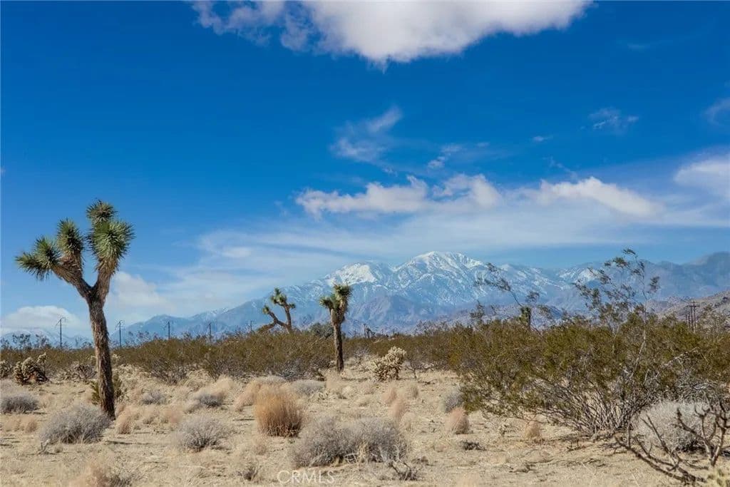 5 Acres of Land for Sale in Johnson Valley, CA - Johnson Valley, California, 92285