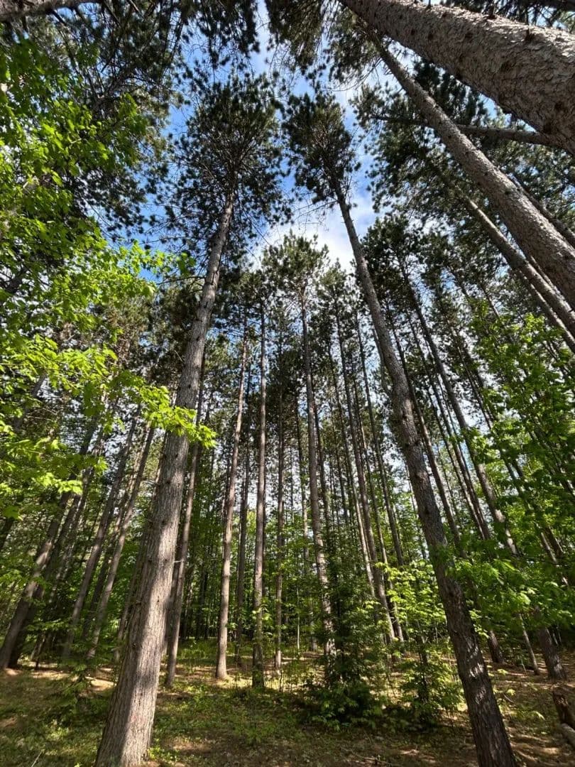 120 Pinton Lane - Marquette, Michigan, 49855