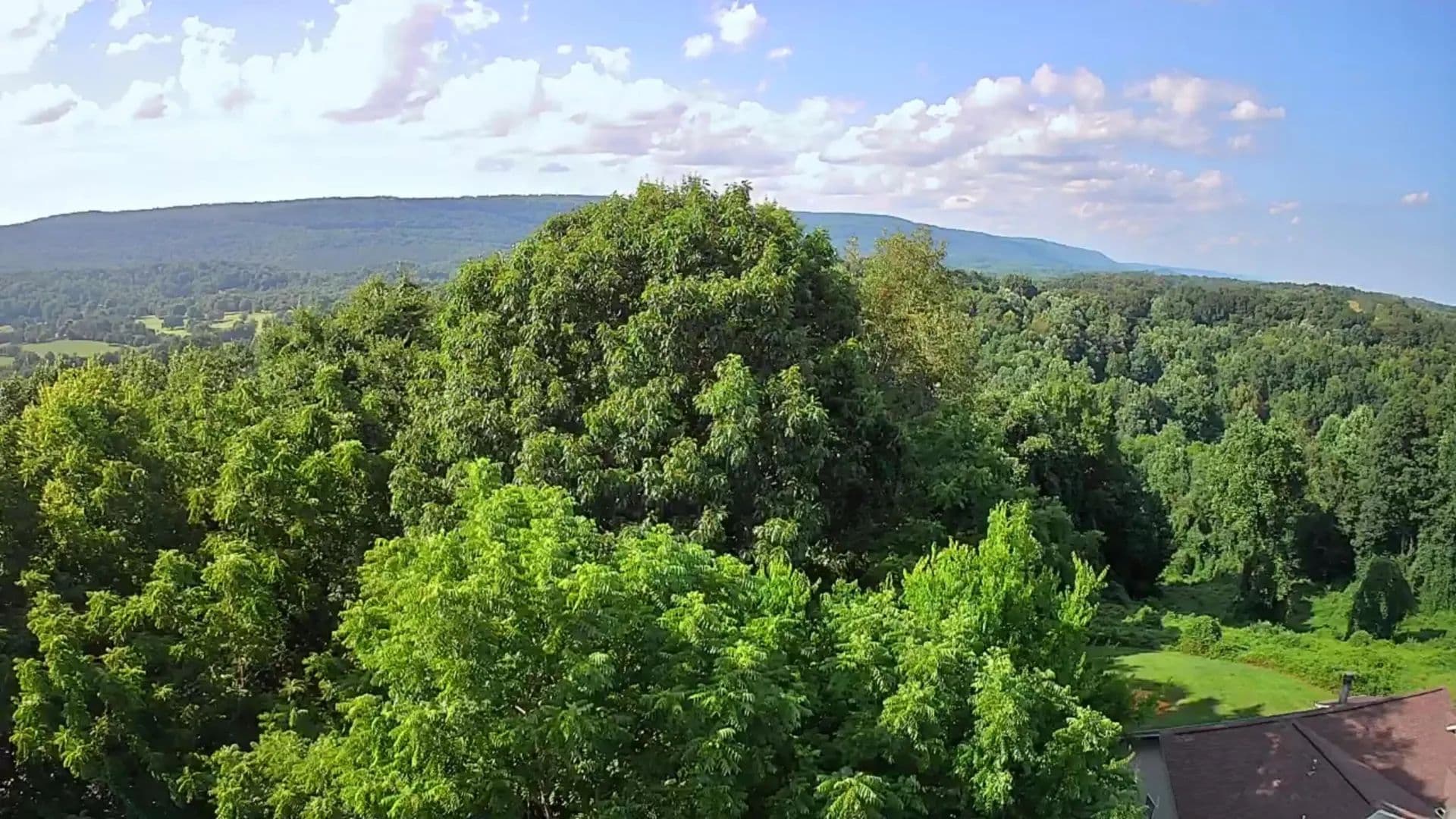 Property from 0 Ashley Lane #53 - KW - Dayton, Tennessee, 37321