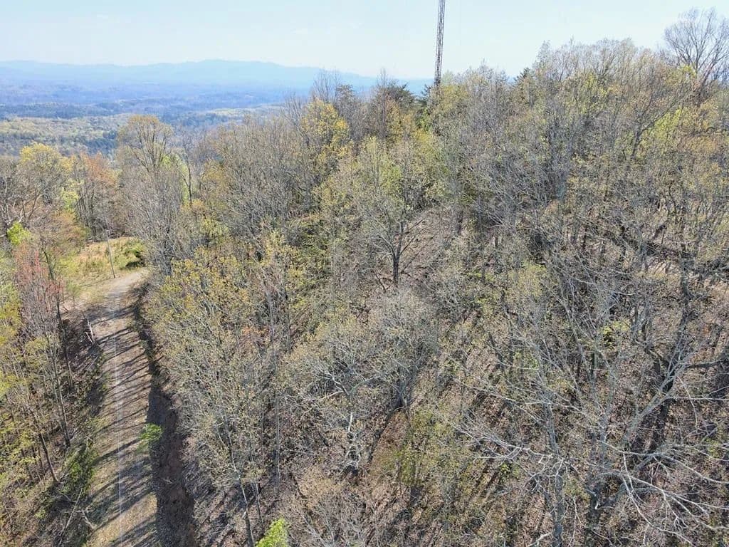 Property from Lot 36 Moosilaukee Drive - KW - Mineral Bluff, Georgia, 30559