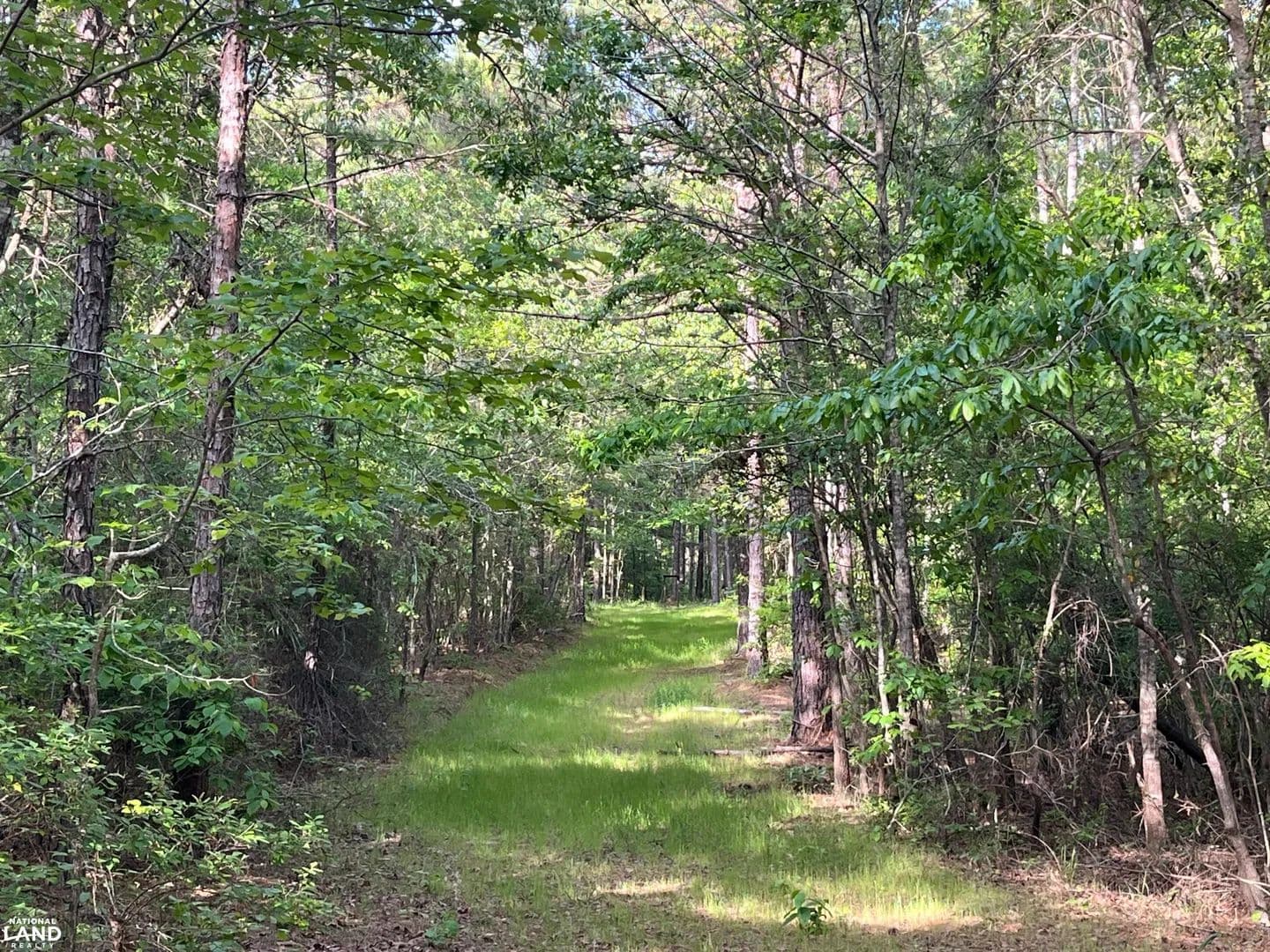 De Kalb Recreational and Timber Opportunity - De Kalb, Mississippi, 39328