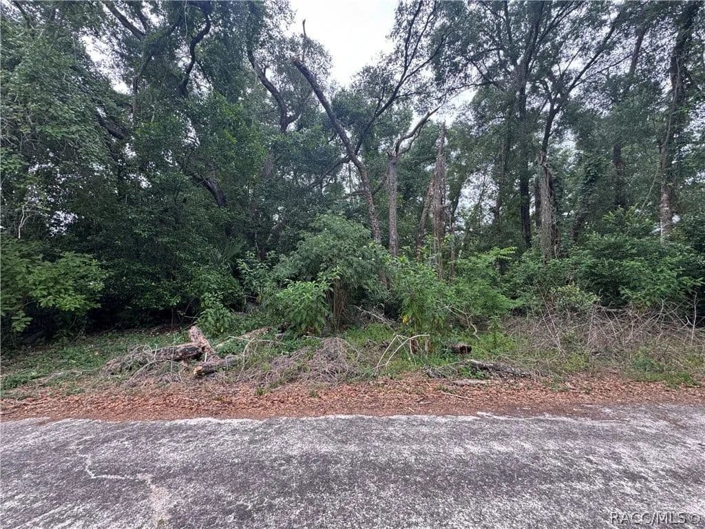 Property from 3638 E Lee Drive - KW - Inverness, Florida, 34453
