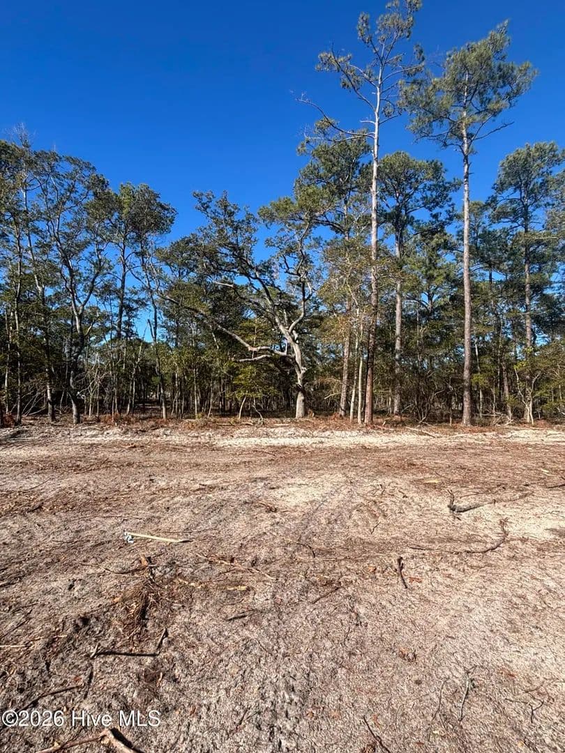 Property from Lot 58 Peninsula Parkway - KW - Southport, North Carolina, 28461