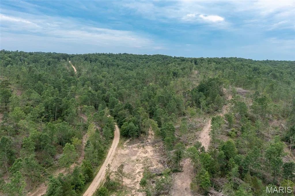 Property from Tract 1 Hidden Valley - KW - Annapolis, Missouri, 63628