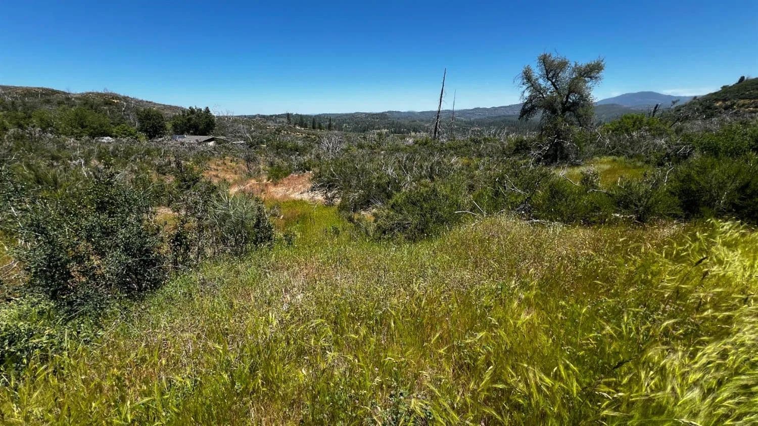 Property from 6360 Eagleview Drive - KW - Mountain Ranch, California, 95255