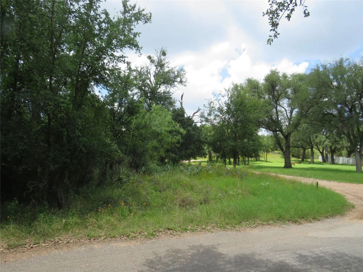Property from Lot 163 Buena Vista Drive - KW - Burnet, Texas, 78611
