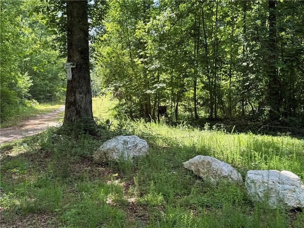 Lots & Land-Other in Talking Rock - Talking Rock, Georgia, 30175
